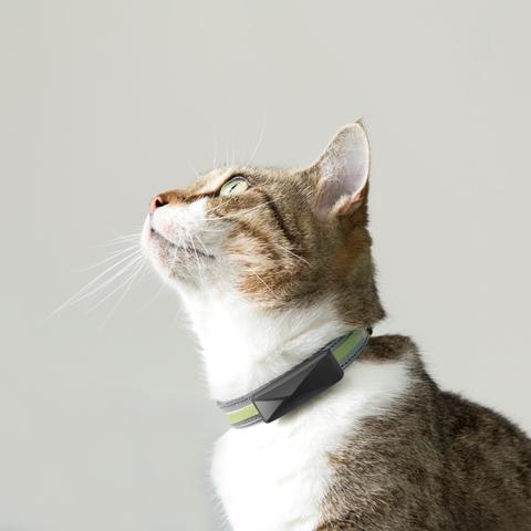 Gps necklace hotsell for cat